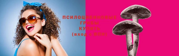МДМА Няндома