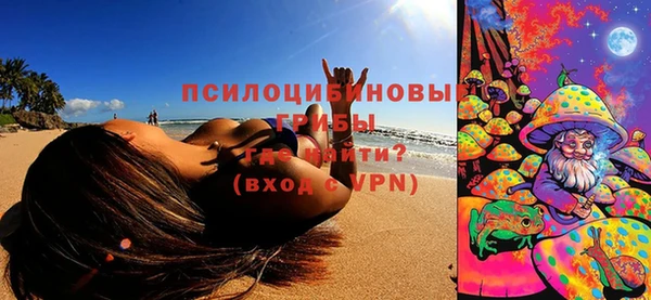 дмт Новокубанск