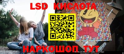 крисы Берёзовский