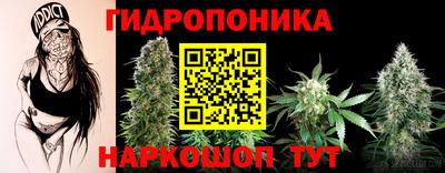 дживик Бийск