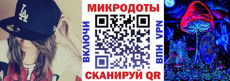 где купить наркоту Новозыбков Псилоцибиновые грибы Cubensis