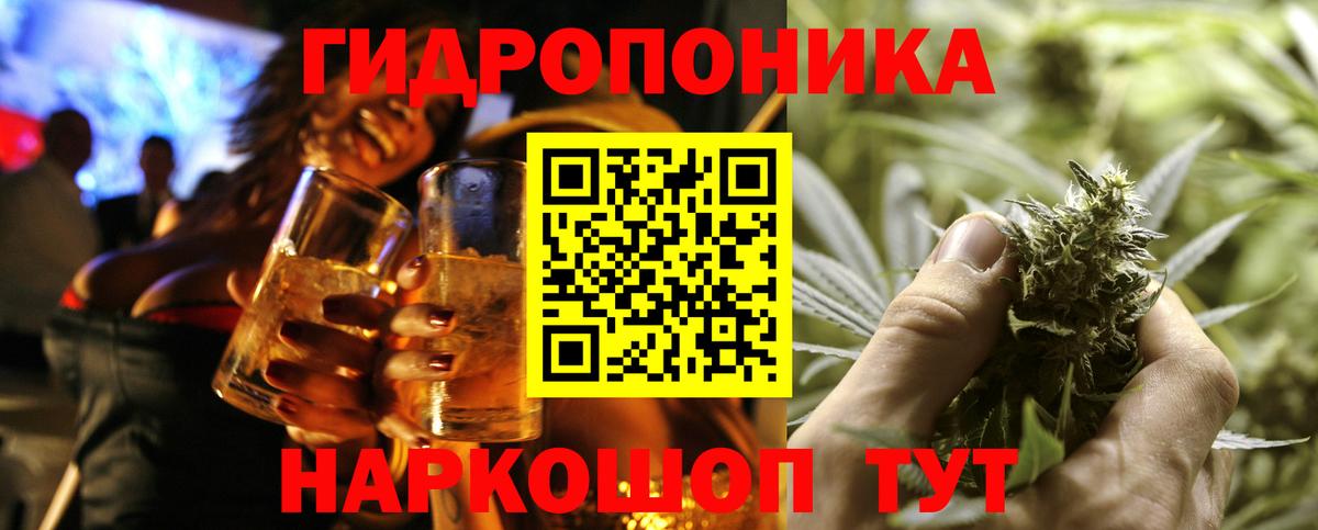 Шишки марихуана семена  Марихуана Bruce Banner  Вход с VPN  Марихуана план  Новозыбков 