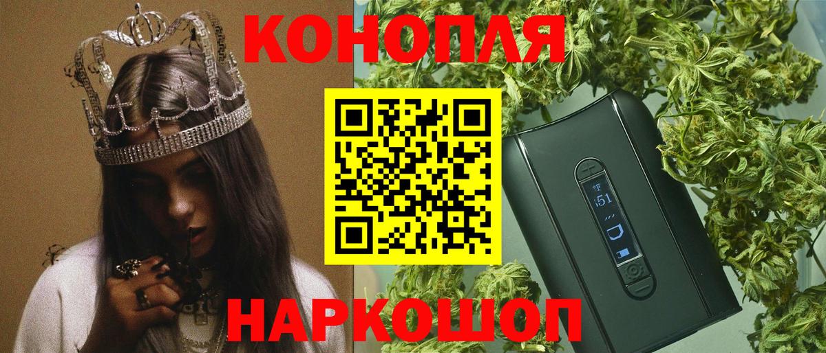 Шишки марихуана план Новозыбков